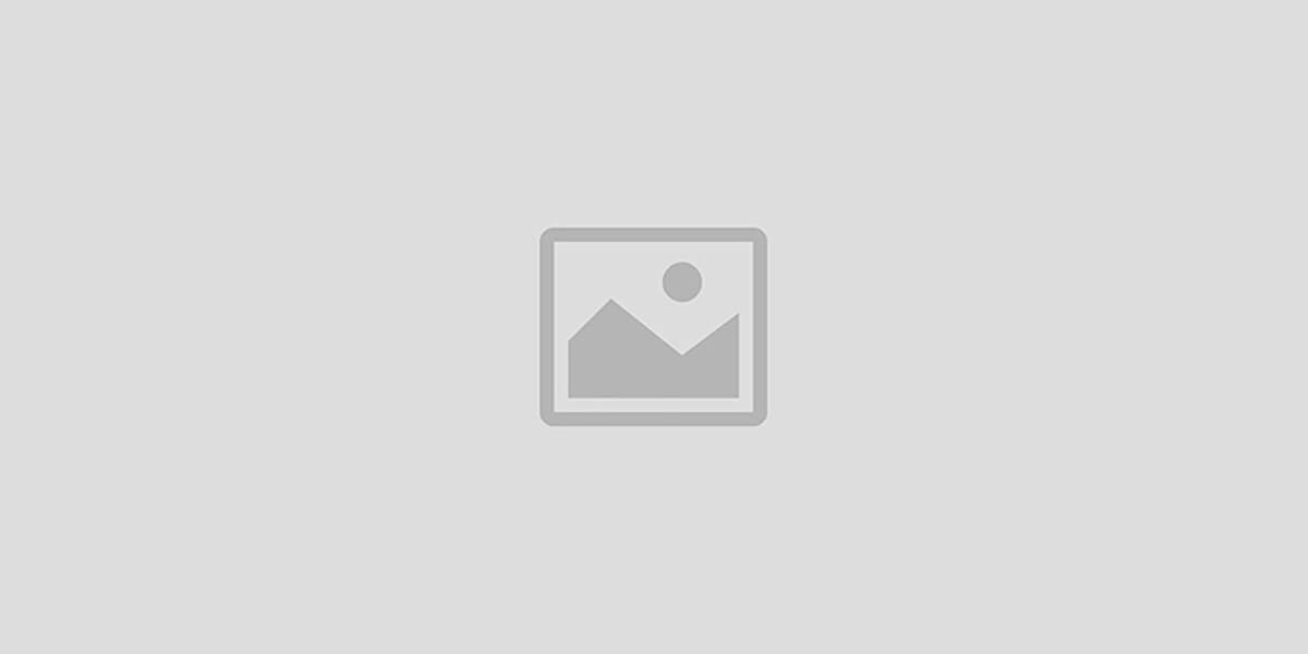 Ayeletiket